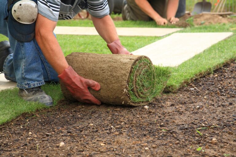 Why Local Turf Suppliers Matter for Sydney Lawns